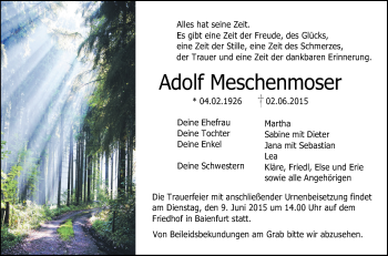 Anzeige von Adolf Meschenmoser von Schwäbische Zeitung